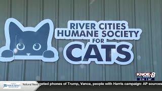 River Cities Humane Society for Cats preparing for Tails at Twilight event