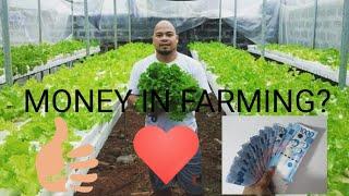 SNAP HYDROPONICS | NEED CASH? GO FARMING