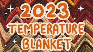 My 2023 Temperature Blanket! Year in Review