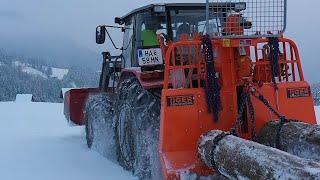 Forestry work 2023: Wood harvesting, timber transport- and hauling | MF 4225 & 8to Tiger cable winch