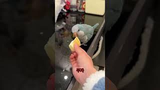 내가 가장 아끼는 애한테 마지막 빵을 줬어 ️