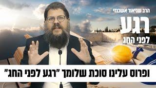 סוכת שלומך : הפטנט לשלום בבית! הרב שניאור אשכנזי רגע לפני החג 