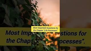 Most important questions for chapter life processes