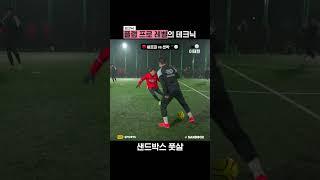 플랩 프로 레벨의 테크닉 