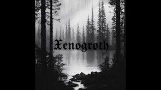 Xenogroth - Winter Night [Atmospheric Black Metal]