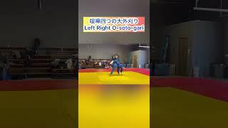 喧嘩四つ 大外刈り#柔道 #judo #дзюдо #유도 #大外刈り #アメリカ #アメリカ生活