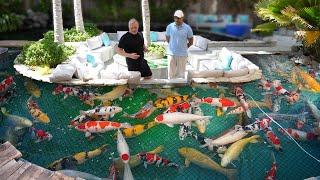 World's Largest Koi Pond! **Big Fish**