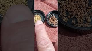 Alluvial vs Eluvial Placers