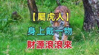 【屬虎終身吉祥物】屬虎人身上戴一物，招財又轉運，財源滾滾來！