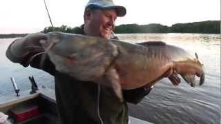 Mississippi River Pool 2 45" Flathead Catfish