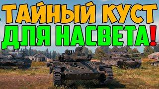 НАШЕЛ СЕКРЕТНЫЙ КУСТ ДЛЯ НАСВЕТА РЕКОРДОВ!