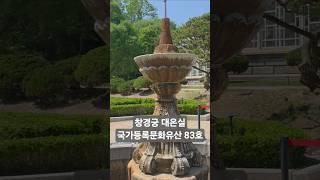 [창경궁 투어] 대온실 국가등록문화유산 83호 #국내여행 #서울여행 #한국사 #근현대사 #식물원