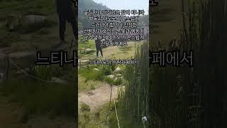 마음 산책