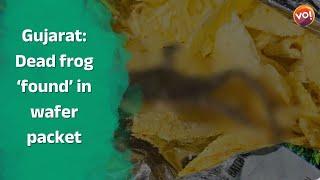 Gujarat: Dead frog `found' in wafer packet; probe underway   | Vibes Of India