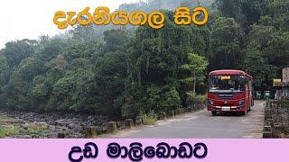 දැරනියගල සිට උඩ මාලිබොඩට ශ්‍රී ලංගම බස් එකෙන් | Uda Maliboda Bus