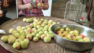 自釀桃子酒 濃濃桃子香味 一喝就停不下來 Making Homemade Peach Wine