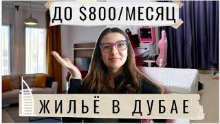 Как самому арендовать жильё в Дубае (мастер-бедрум, комната, койко-место) Что нужно знать о квартире