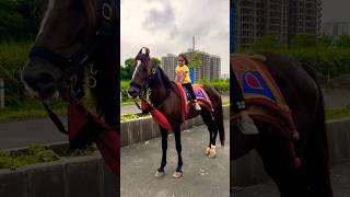 Horse video  | #horse #horses #ghoda #cutebaby #ytshorts #viral #trending #shortsfeed #ytvideo