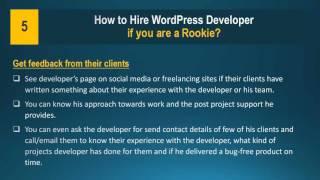 How to Hire WordPress Developer if you are a Rookie?