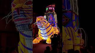 Chandannagar Jagadhatri Puja 2024 - Procession Light #CJP