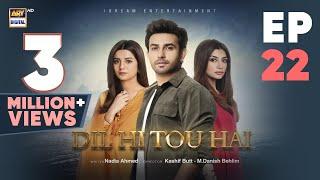 Dil Hi Tou Hai Episode 22 | Ali Ansari | Zoya Nasir | 29 Oct 2023 | ARY Digital