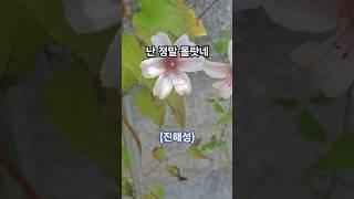 난 정말 몰랐네 #진해성 #한일톱텐쇼(현역가왕2)