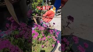 #호미 고쳐쓰기 #K호미 오래사용 가능합니다! #정원 #호미 #shorts  #gardening  #정원용품