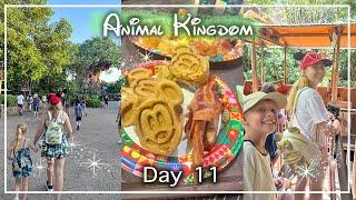 Trying Mickey Waffles and a Safari tour around Animal Kingdom seeing elephants and hippos up close.