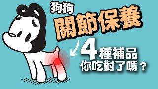 狗與鹿 ｜狗狗遲早都會遇到的關節問題  | 狗狗暖知識