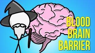 An Animated History of the Blood Brain Barrier - Why Drugs Don't Get Into Your Brain