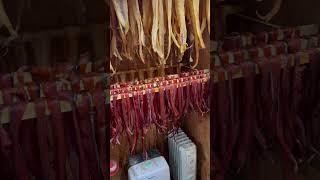 Drying halibut and king salmon