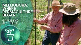 Melliodora – The birthplace of permaculture | Urban Farming | Gardening Australia