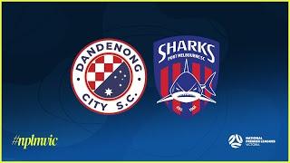 2024 NPLMVIC Round 25: Dandenong City SC v Port Melbourne Sharks SC