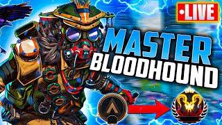 LIVE - HOW TO MASTER BLOODHOUND (APEX COACH TIPS & TRICKS)