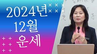 2024년 오행별 12월 운세