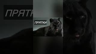 https://vk.com/drive_territore