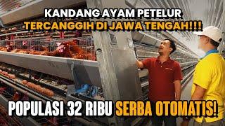 AYAM PETELUR POPULASI 32.000 SERBA OTOMATIS, CUMA BUTUH 3 ABK !!! | Tandang ke Kandang Eps 1