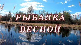 КАК И НА ЧТО Ловить ЩУКУ ранней ВЕСНОЙ!!!! Так я Уговариваю любую ПАССИВНУЮ Щуку! Щука Нерест!