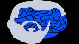 Essence Of Thought/Sophistry Gets Corrected...Again