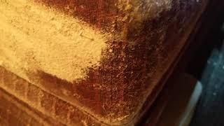 Baking soda, Does not get rid of bed bugs! || Tulsa Bed Bug Specialist