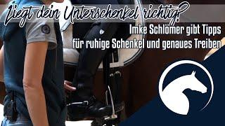 Unruhige Unterschenkel? | Besser Treiben? |Preview | ClipMyHorse.TV Academy|