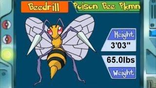 POCEMON GO-РОЙ ПИДРИЛ
