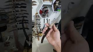 ام شوكه الالمانيه