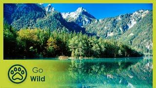 Alpine Lakes Quiet Beauty - Go Wild