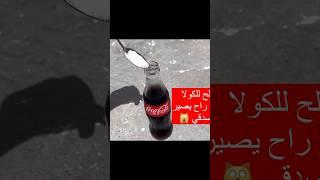 شوفو شو صار 