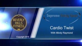 Supreme Toning Tower Cardio Twist Disk Workout