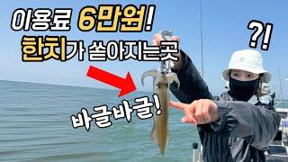 한치낚시 놀라운 곳을 발견했습니다 ㄷㄷ 밥도준다고?!