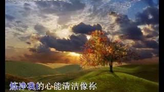 羔羊之美
