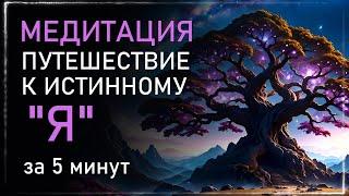 МЕДИТАЦИЯ Путешествие к Истинному Я: Просветление за 5 минут. Альбасавуа