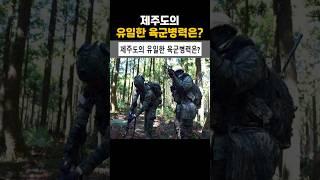 제주도의 유일한 육군 병력은?